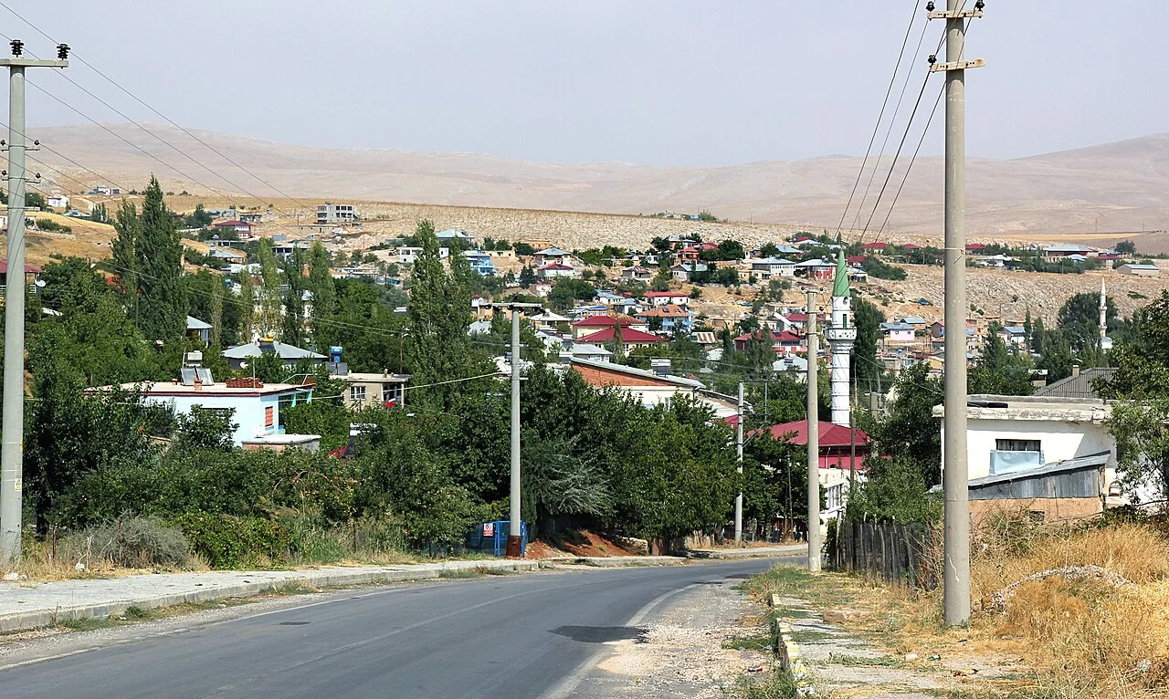Photo of Tanır
