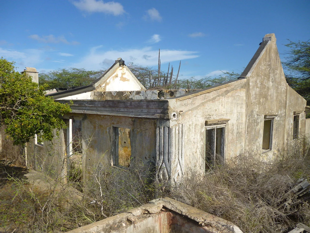 Photo of Tanki Leendert