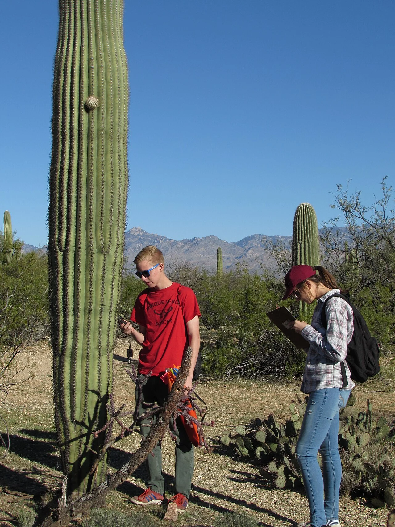 Photo of Tanque Verde