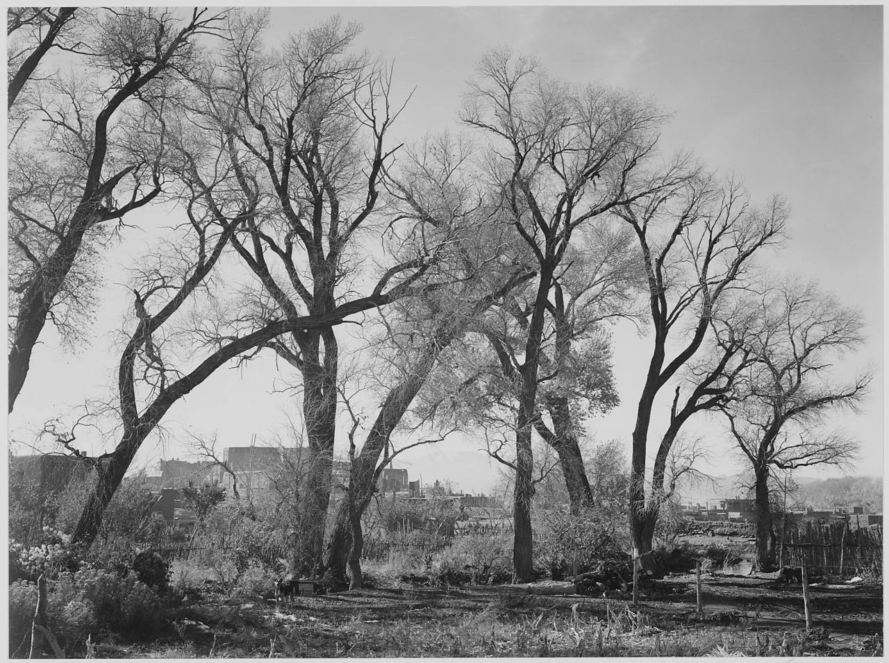 Photo of Taos Pueblo