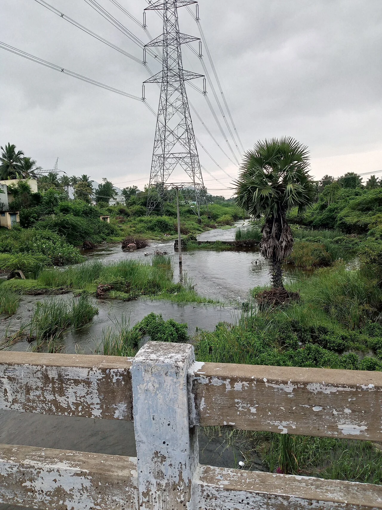 Photo of Tāramangalam