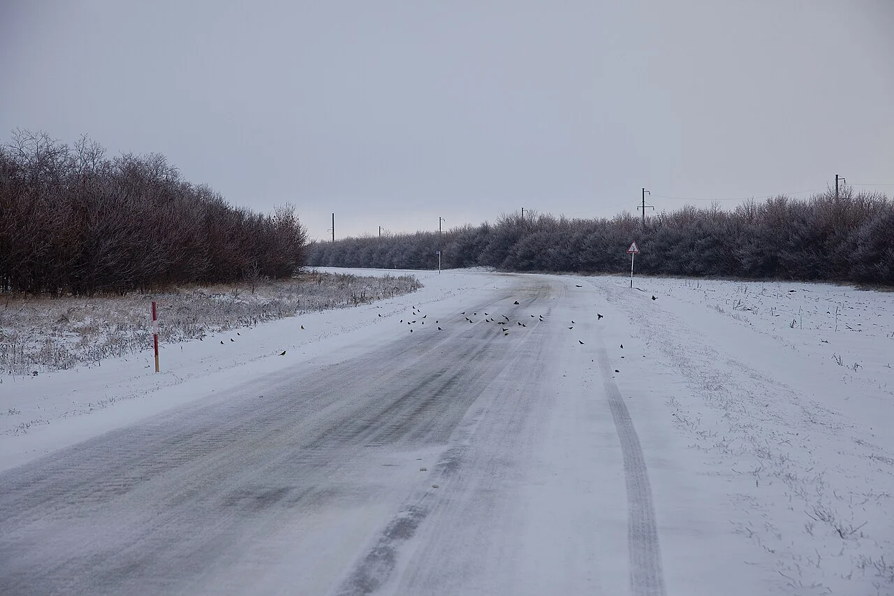 Photo of Tarasovskiy