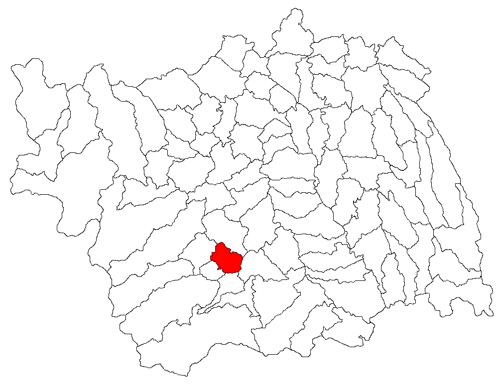 Photo of Târgu Trotuş