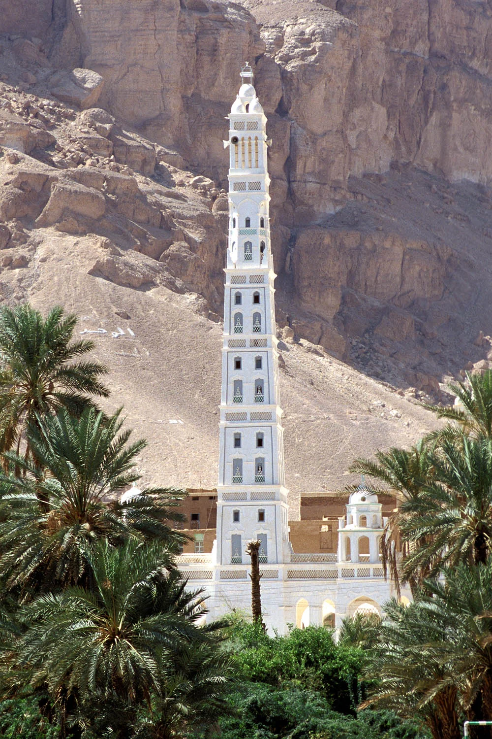 Photo of Tarim