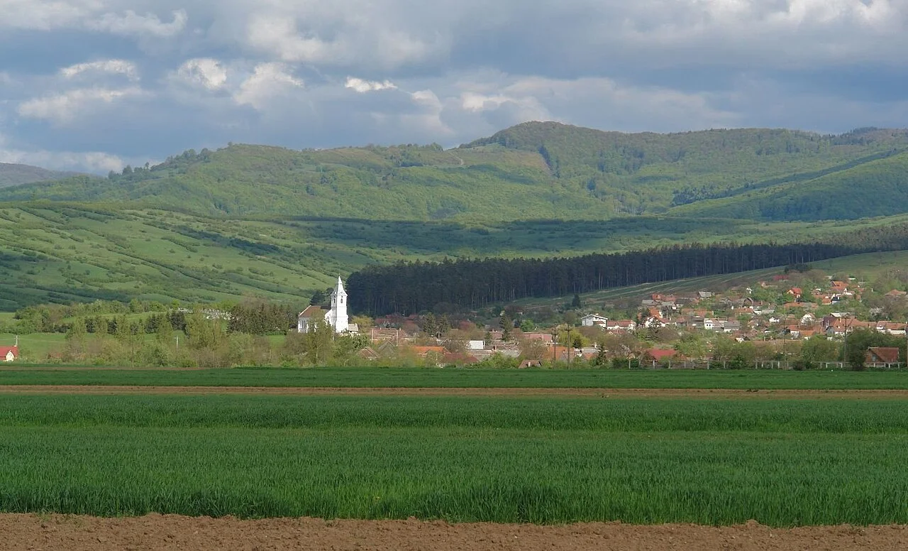Photo of Tărlungeni