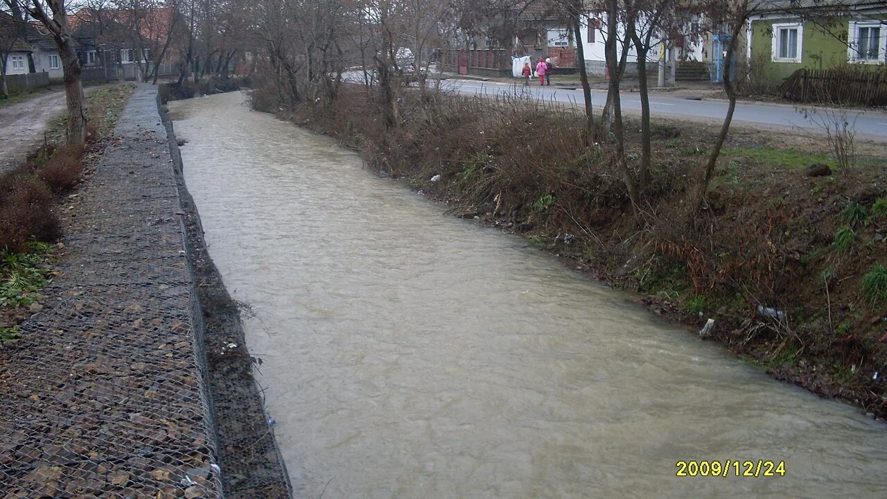 Photo of Tarna Mare