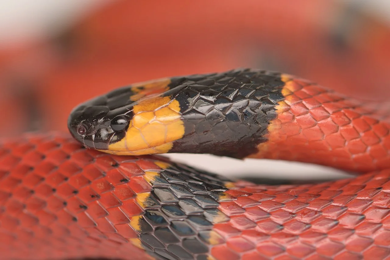 Photo of Tataltepec de Valdés