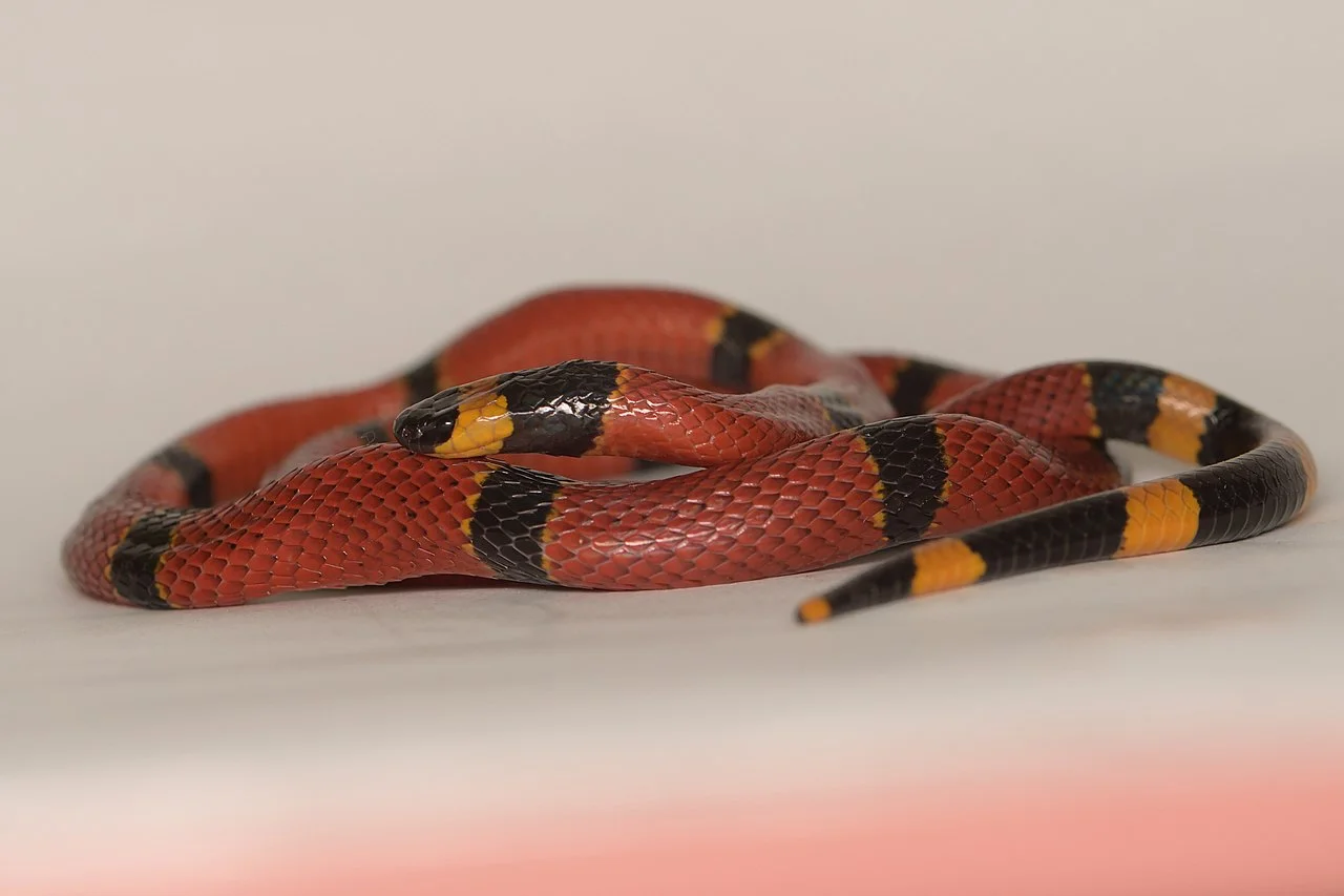 Photo of Tataltepec de Valdés