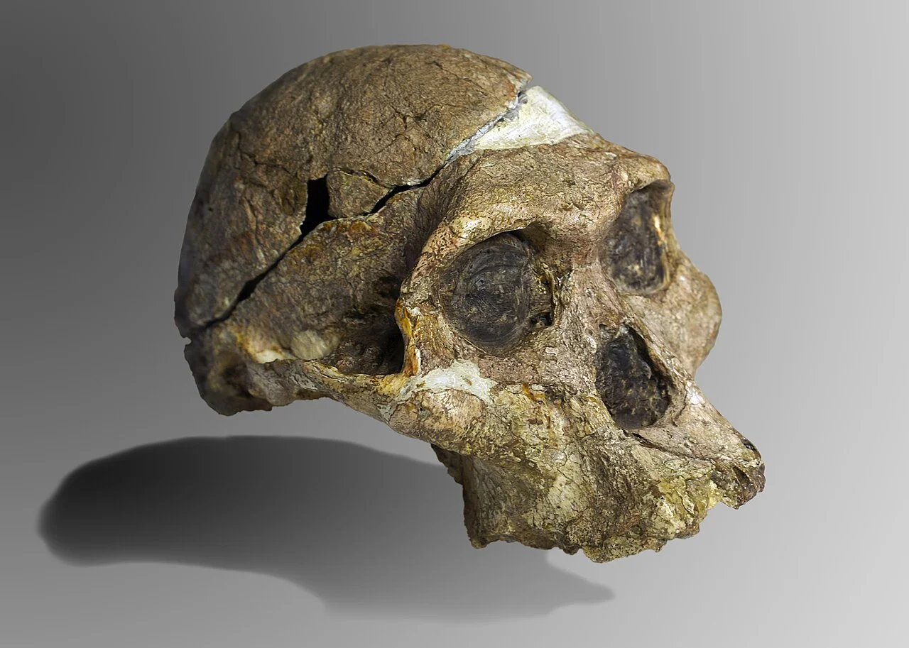 Photo of Taung