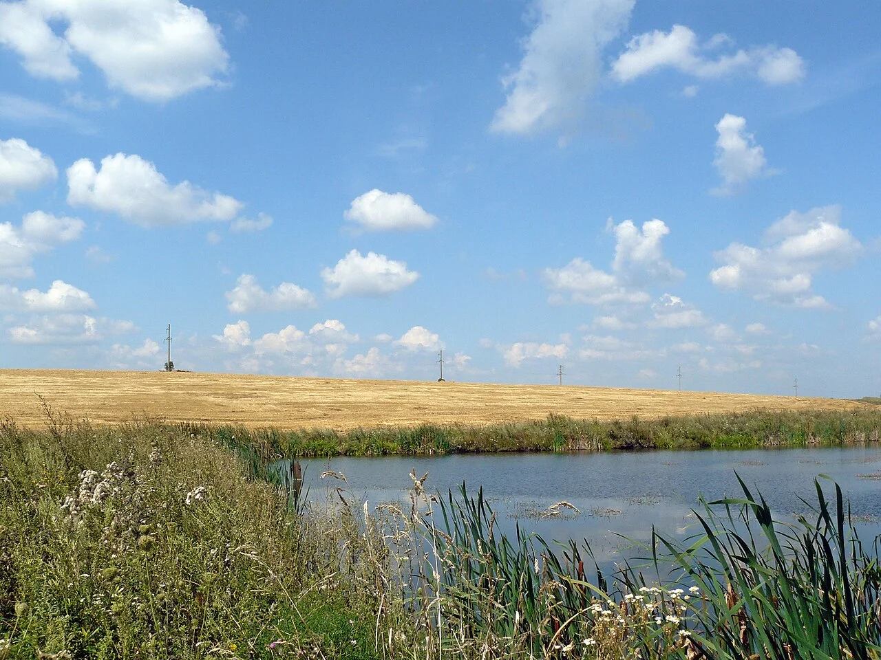 Photo of Tavryiske