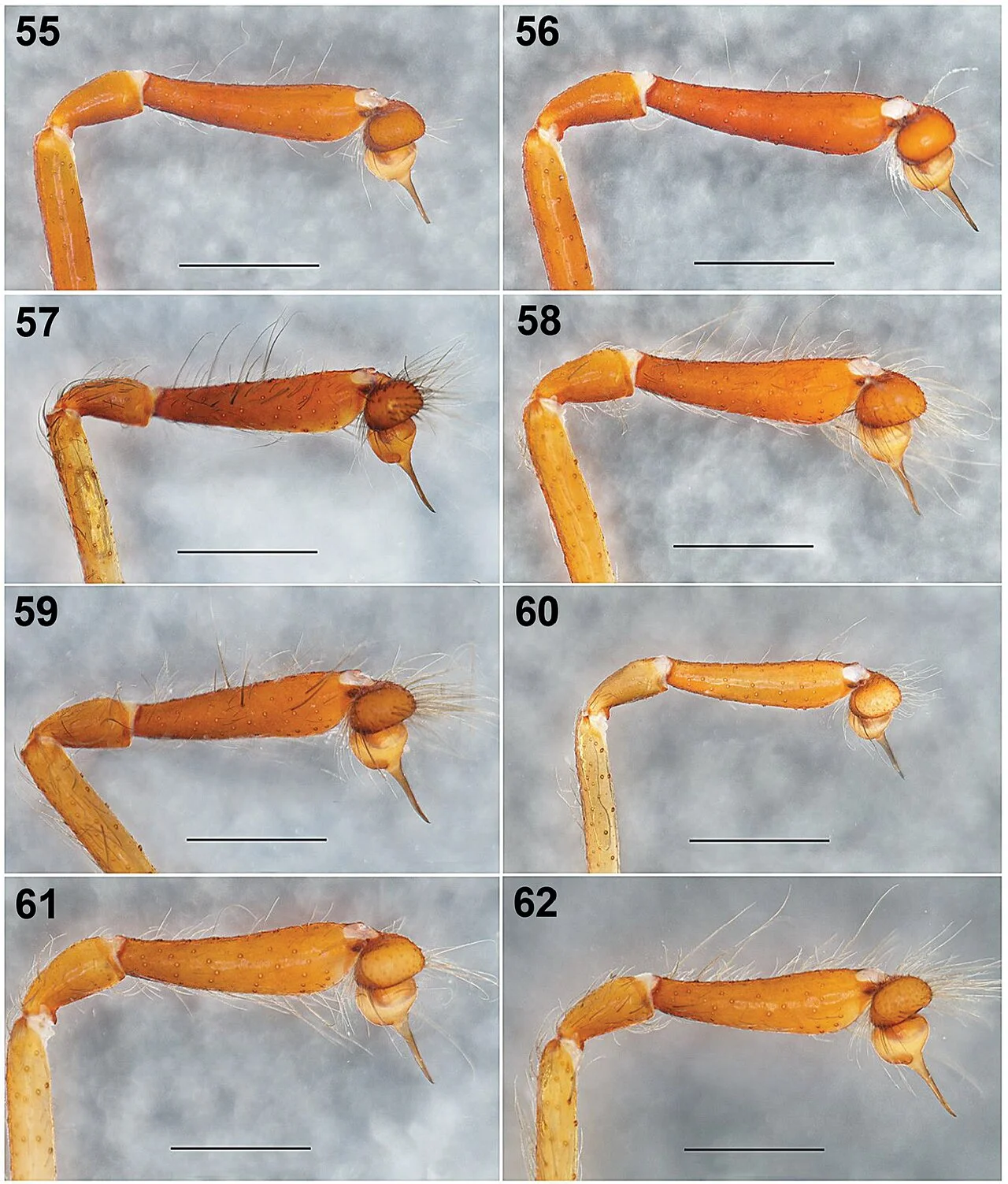 Photo of Taxco el Viejo