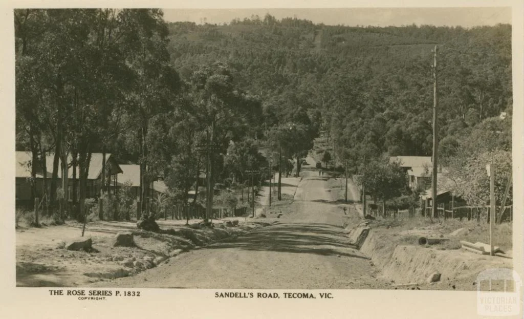 Photo of Tecoma
