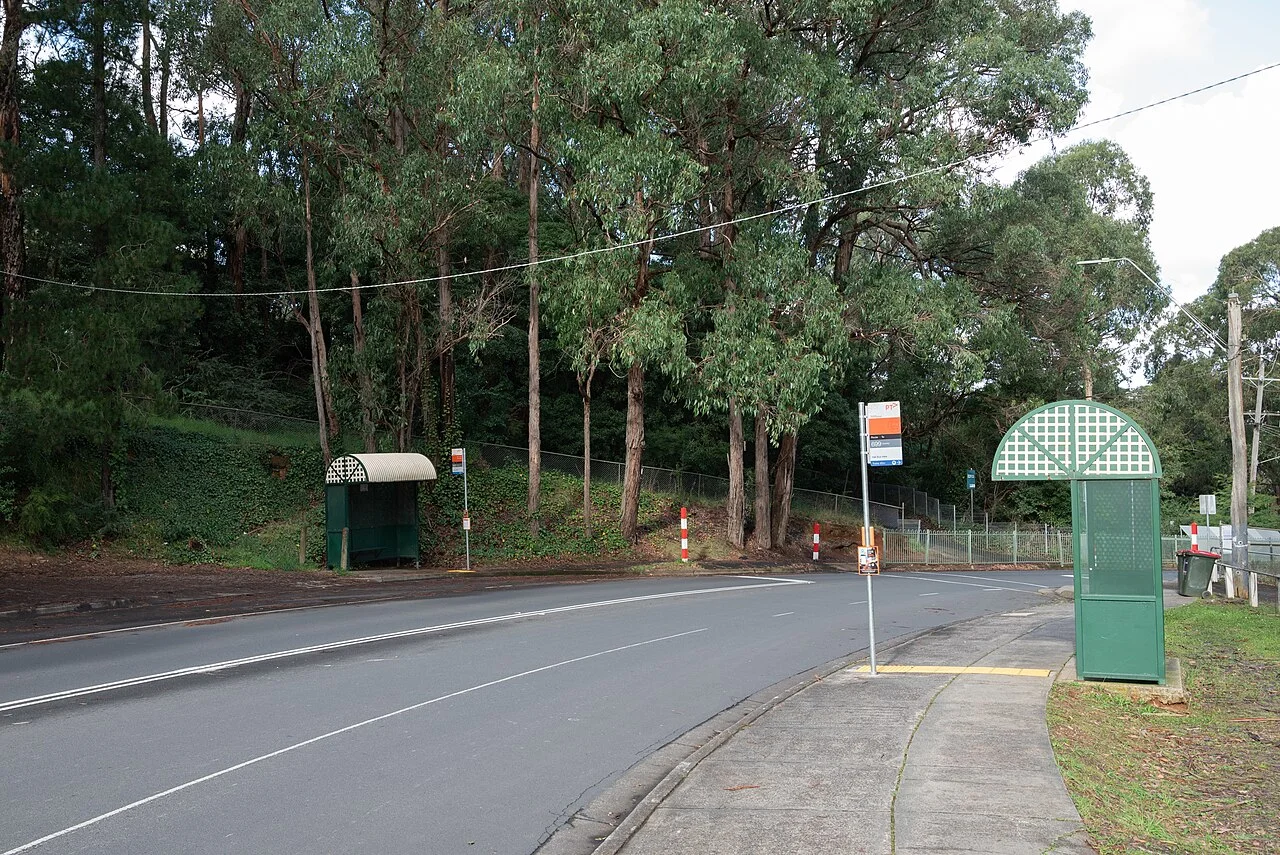 Photo of Tecoma