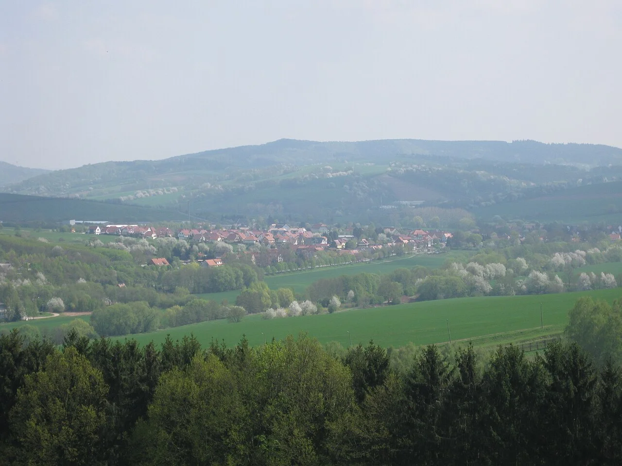 Photo of Teistungen