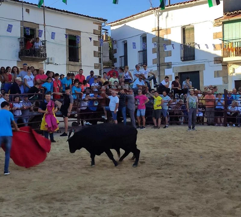 Photo of Tejeda de Tiétar