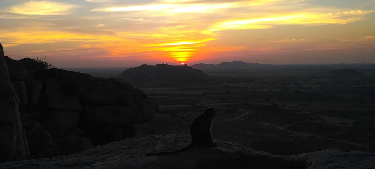 Photo of Tekkalakote