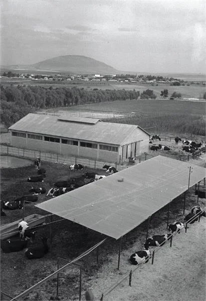 Photo of Tel ‘Adashim