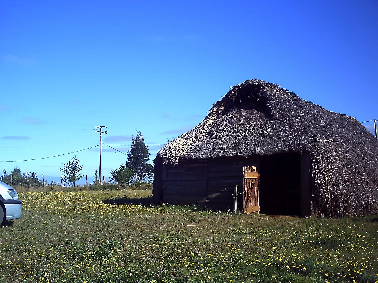 Photo of Teodoro Schmidt