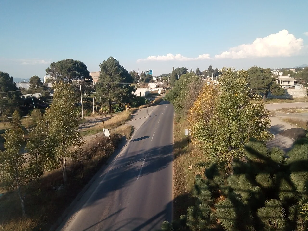 Photo of Teolocholco