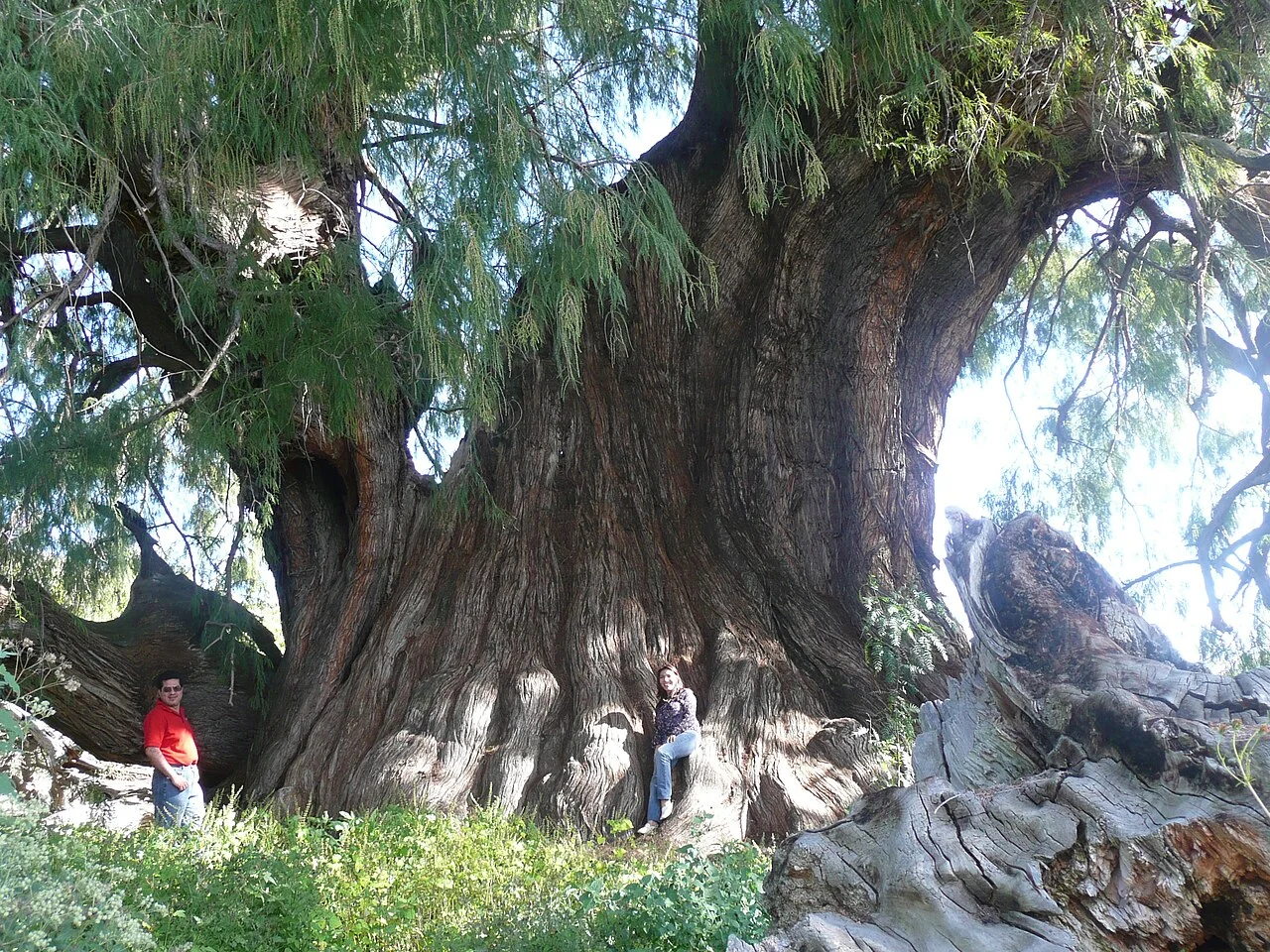 Photo of Tepetitlán