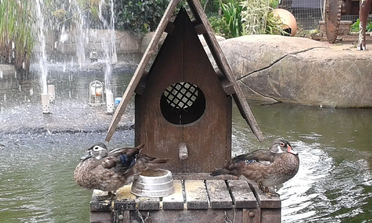 Photo of Terezópolis de Goias