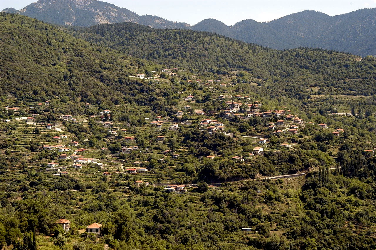 Photo of Terpsithéa