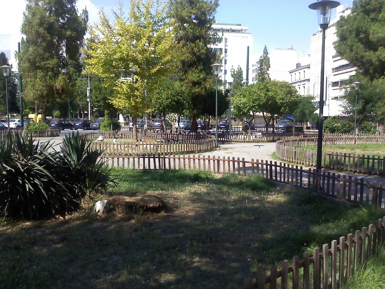 Photo of Terpsithéa