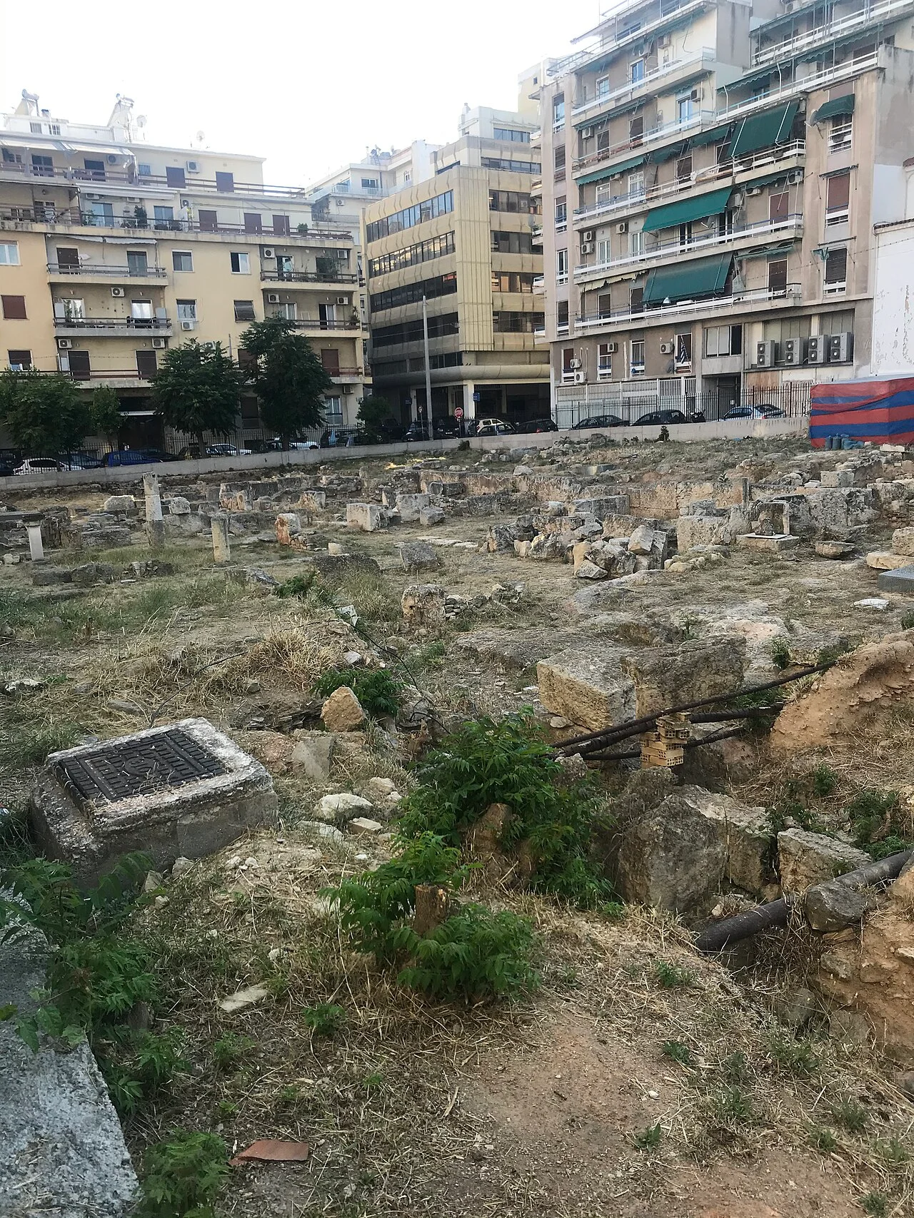 Photo of Terpsithéa