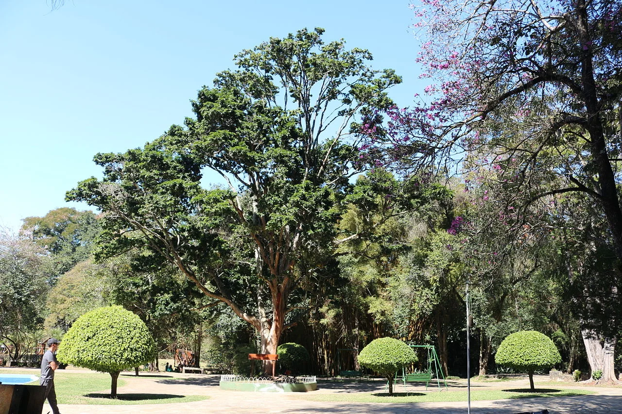 Photo of Terra Santa