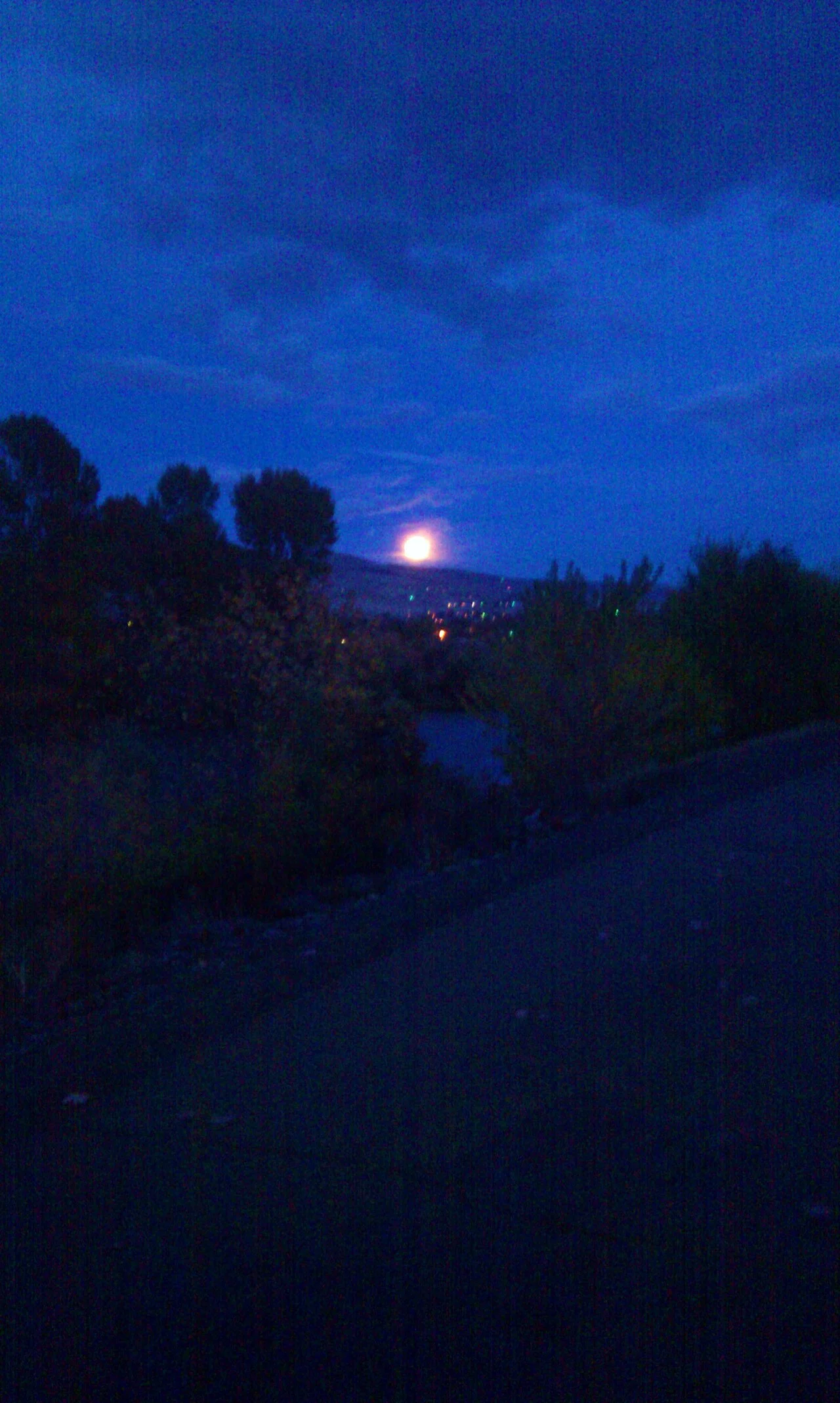 Photo of Terrace Heights