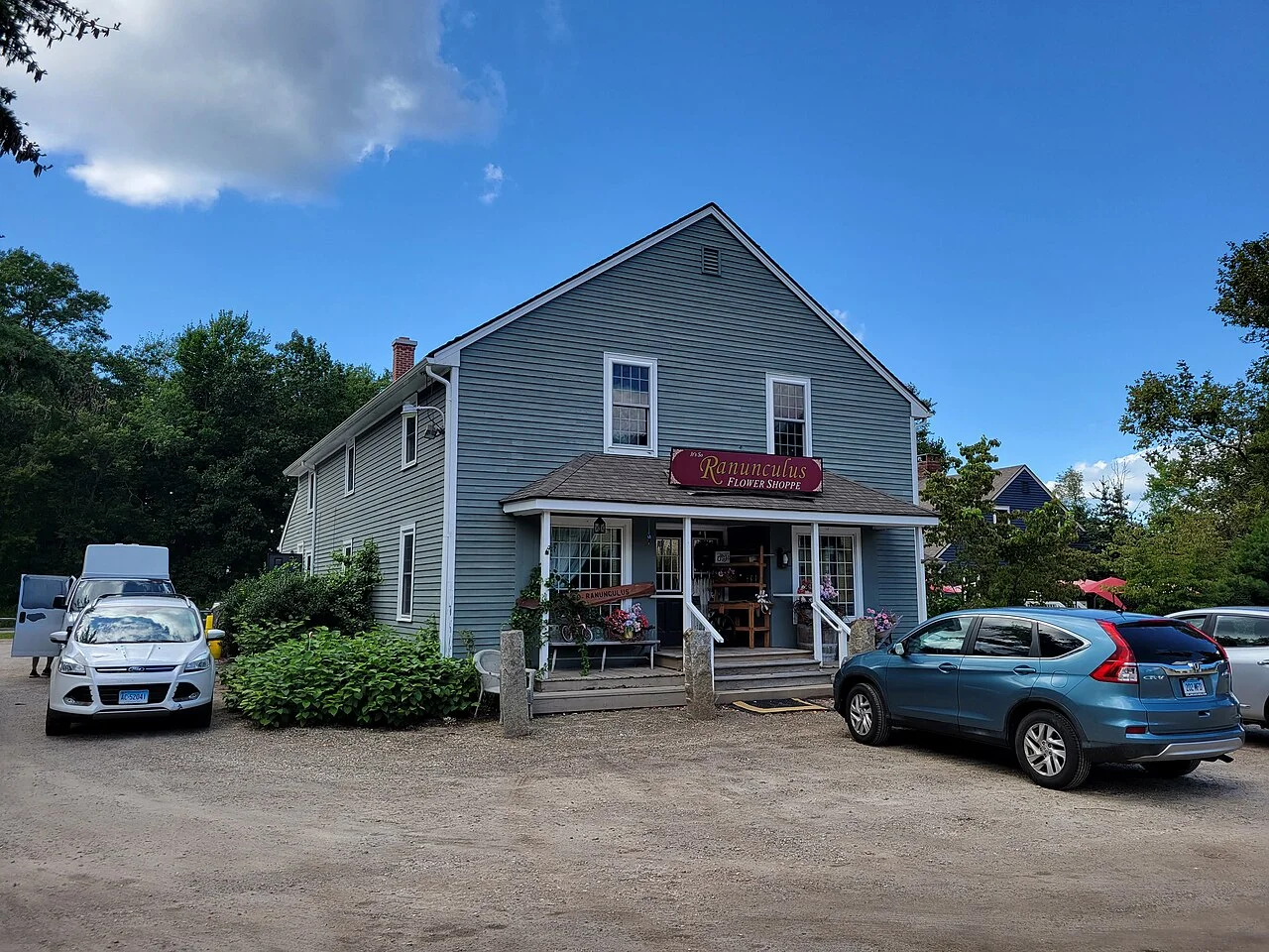 Photo of Terramuggus