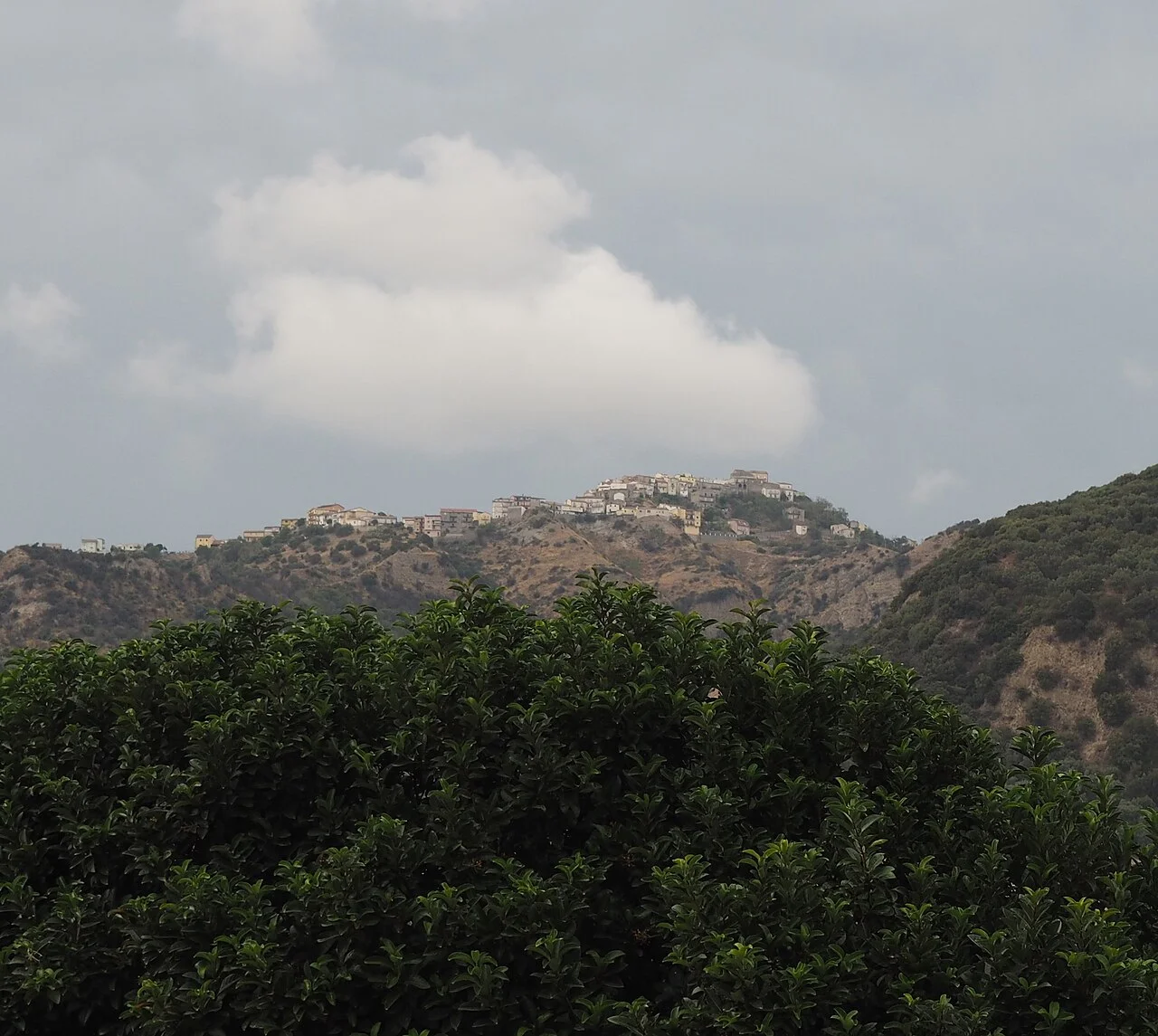 Photo of Terravecchia