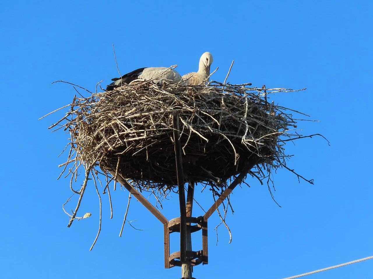 Photo of Tešedíkovo