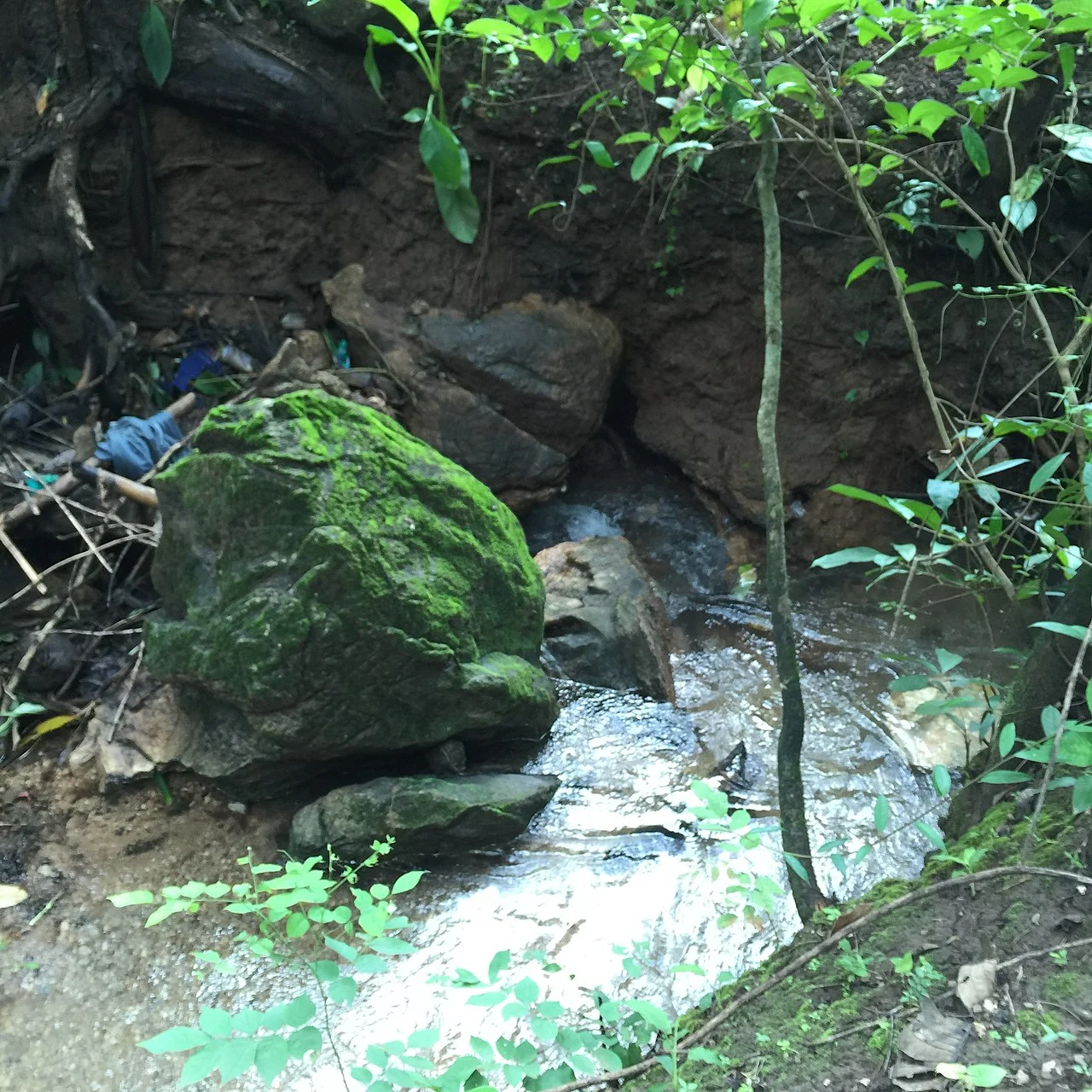 Photo of Tha Song Yang