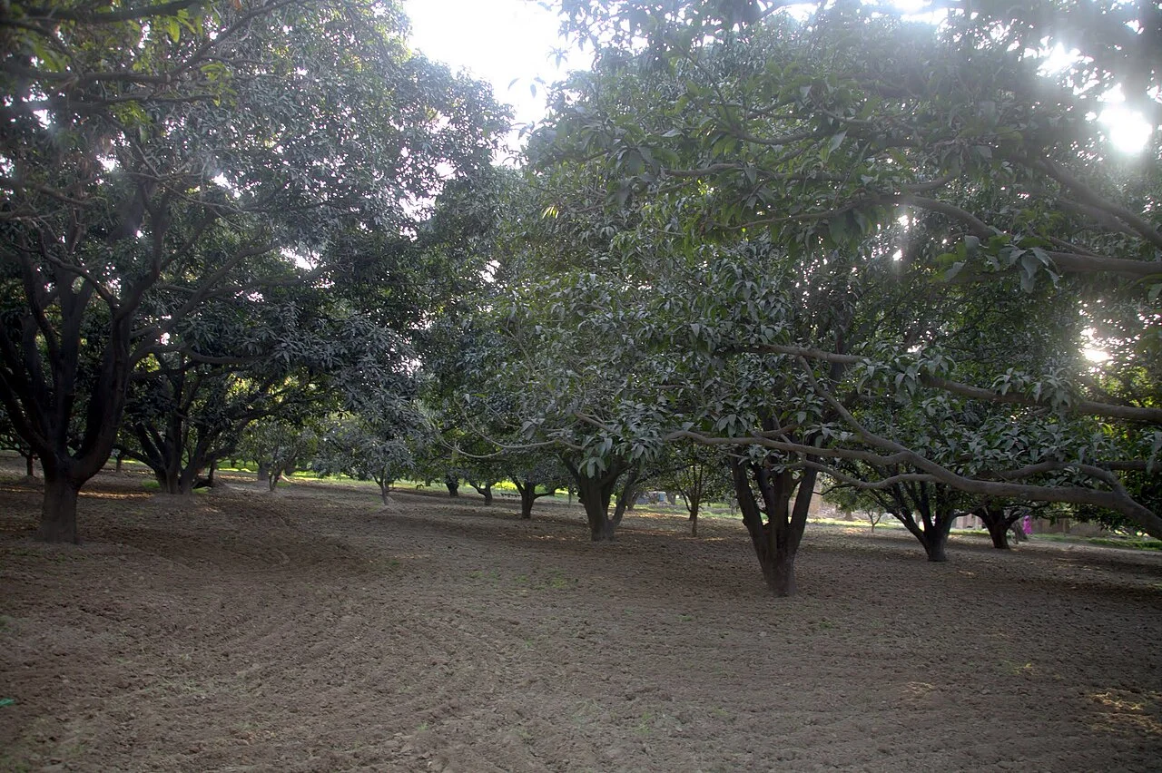 Photo of Thāna Bhawan