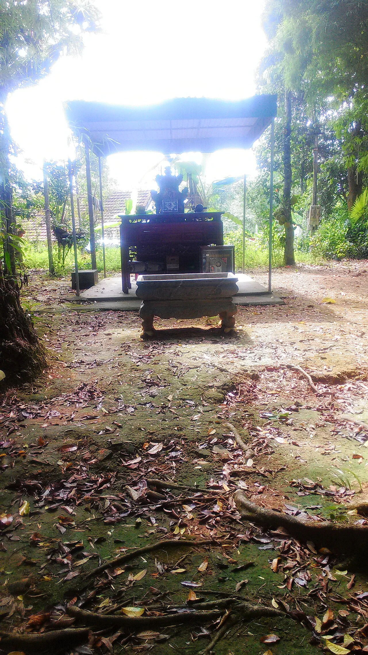 Photo of Thanh Chương