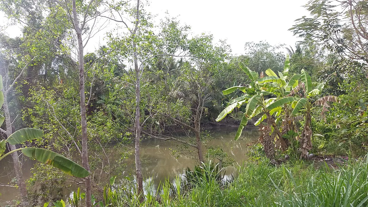 Photo of Thạnh Mỹ