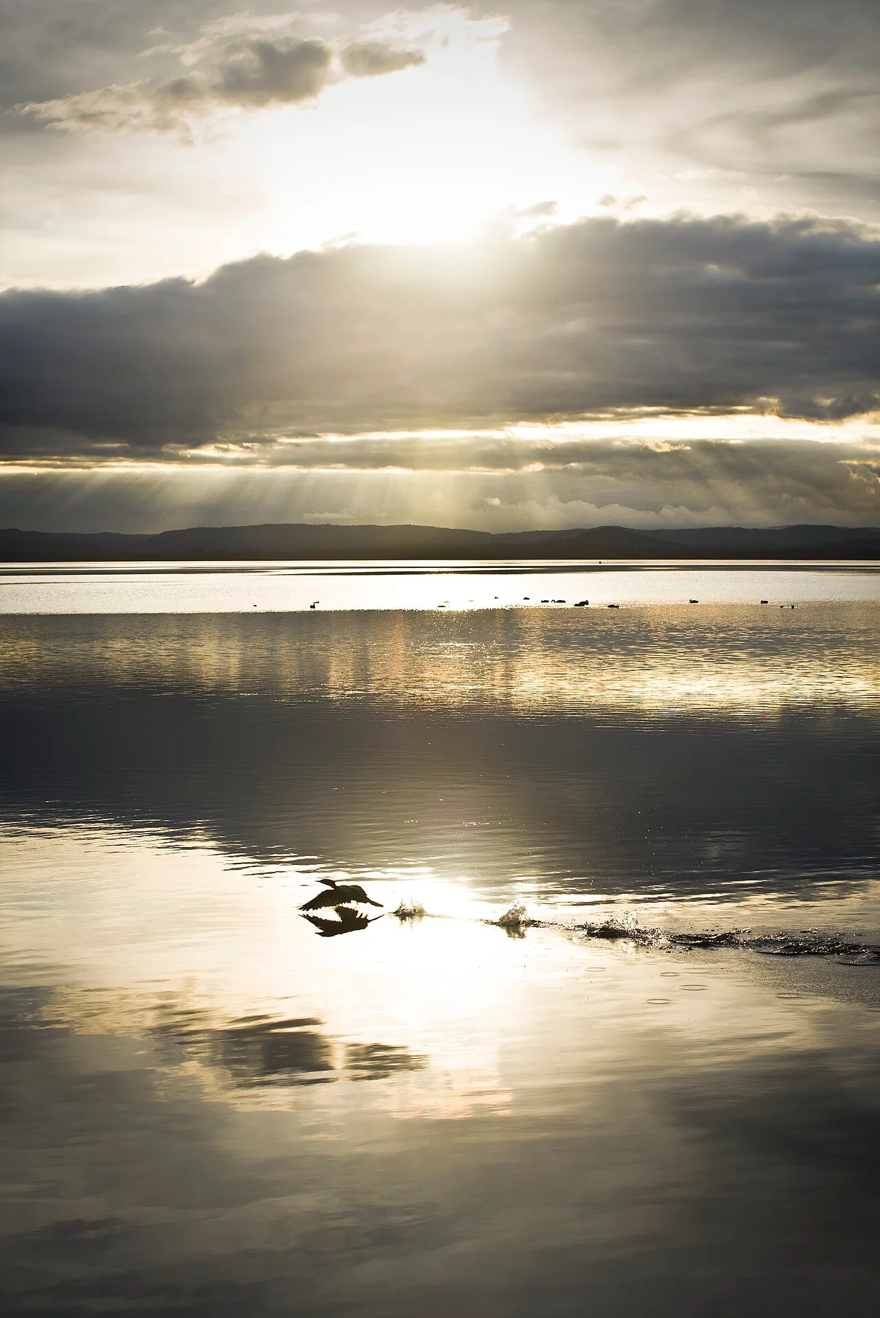 Photo of The Entrance North