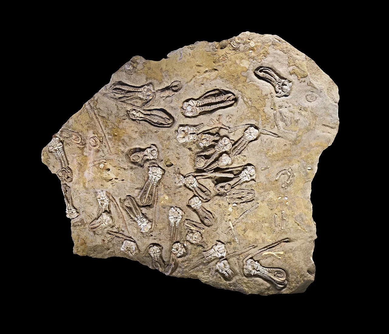 Photo of The Junction