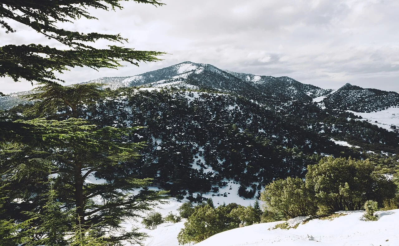 Photo of Theniet el Had