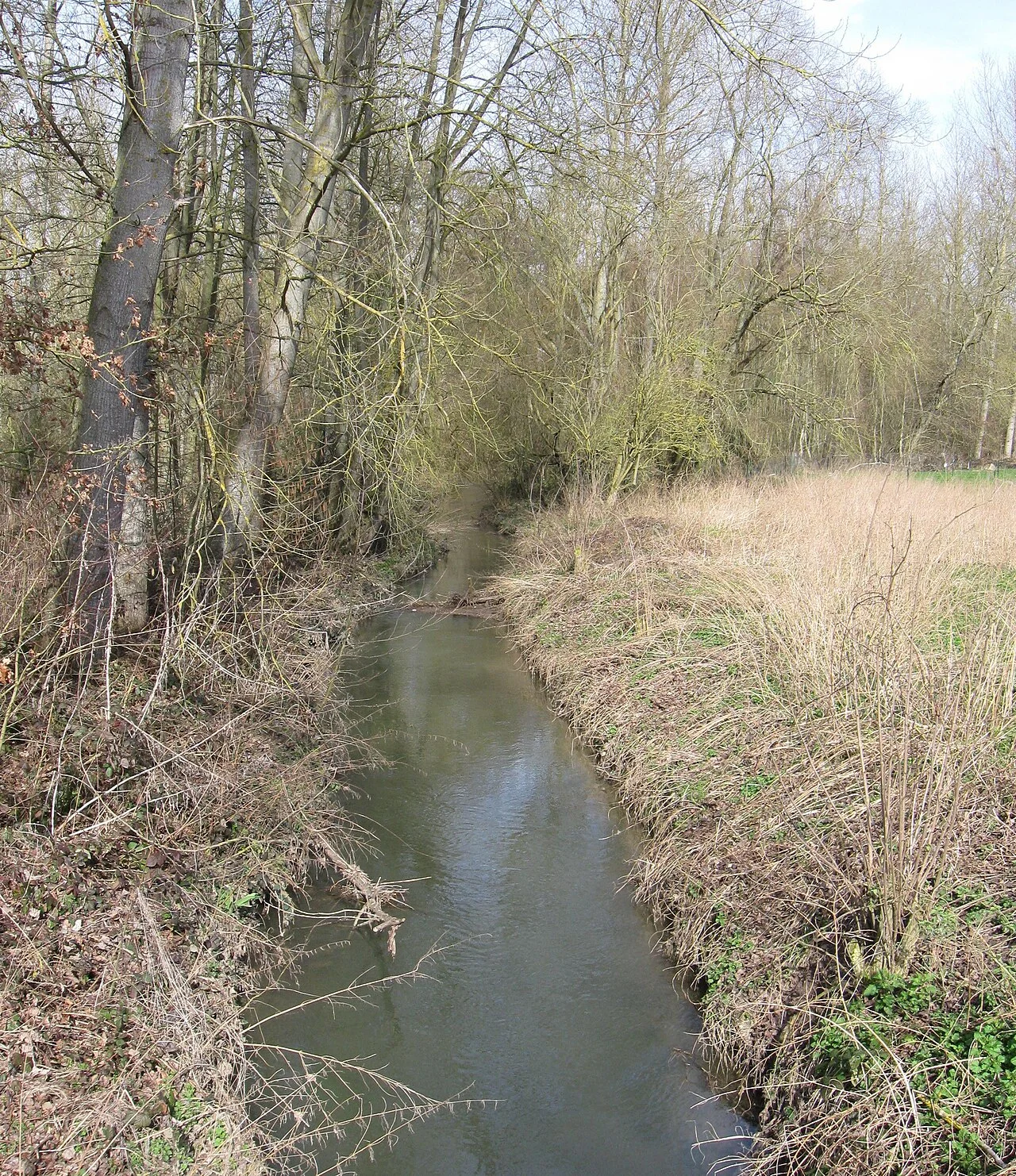 Photo of Thérouanne