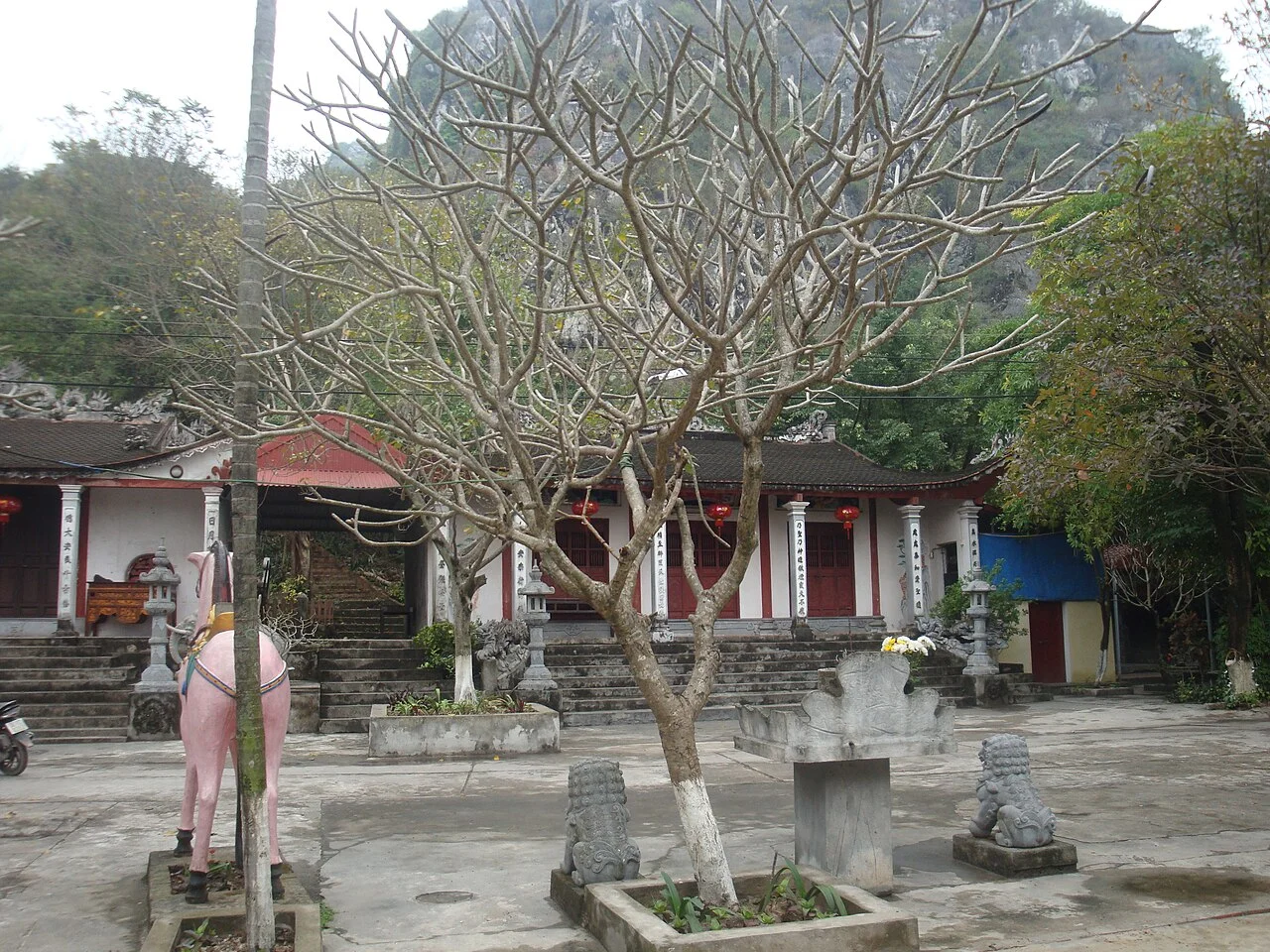 Photo of Thiên Tồn