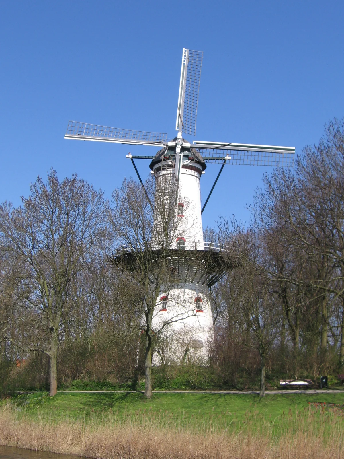 Photo of Tholen
