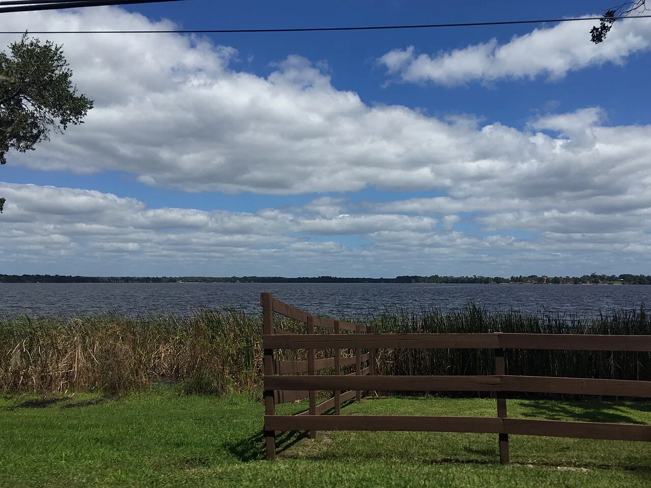 Photo of Thonotosassa