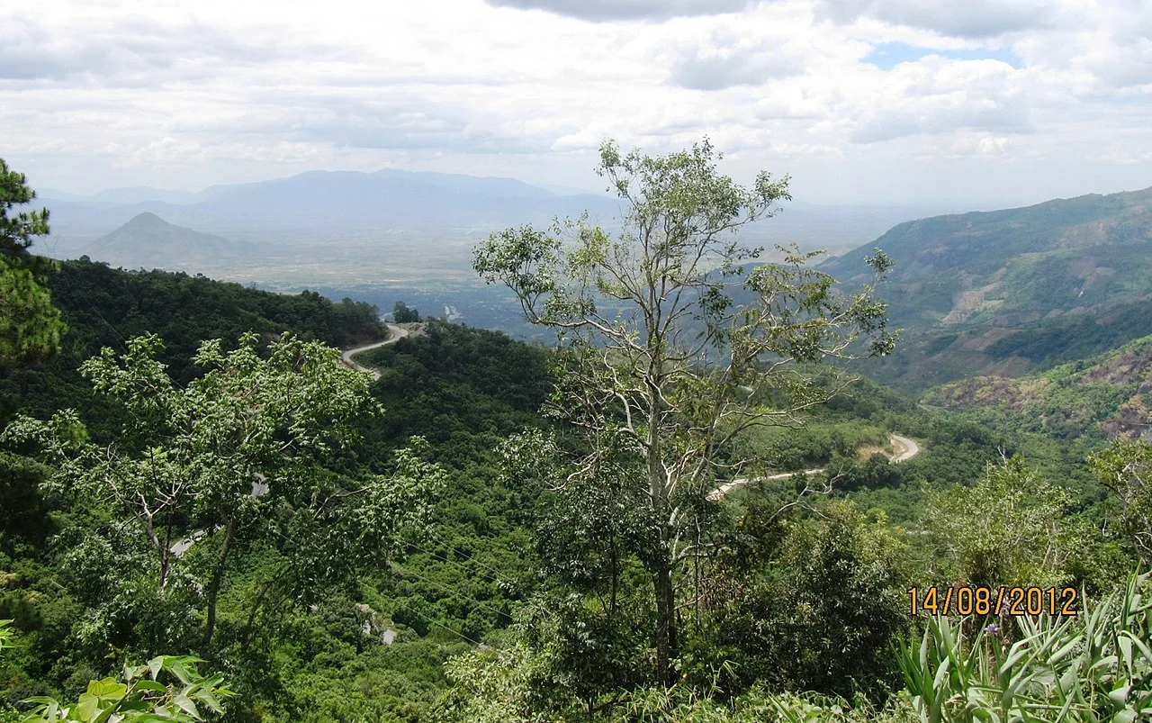 Photo of Thuần Thiện