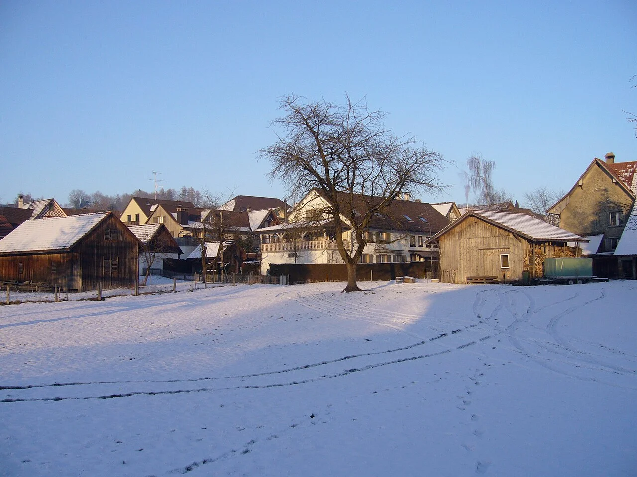 Photo of Thundorf