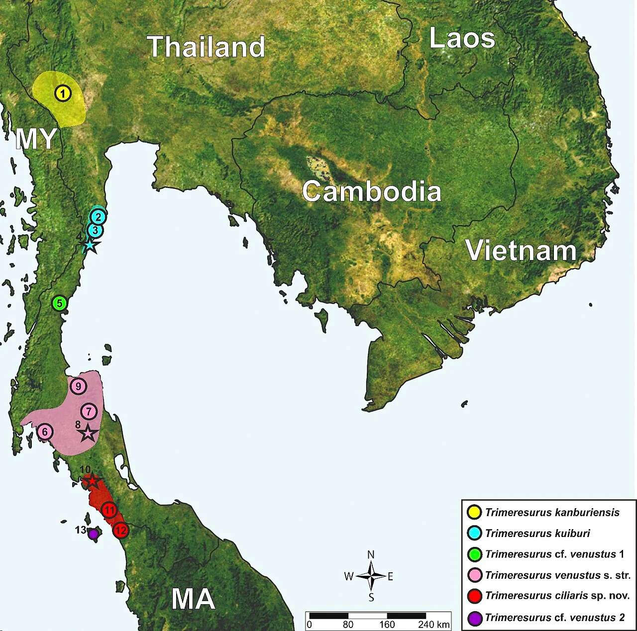 Photo of Thung Khao Luang