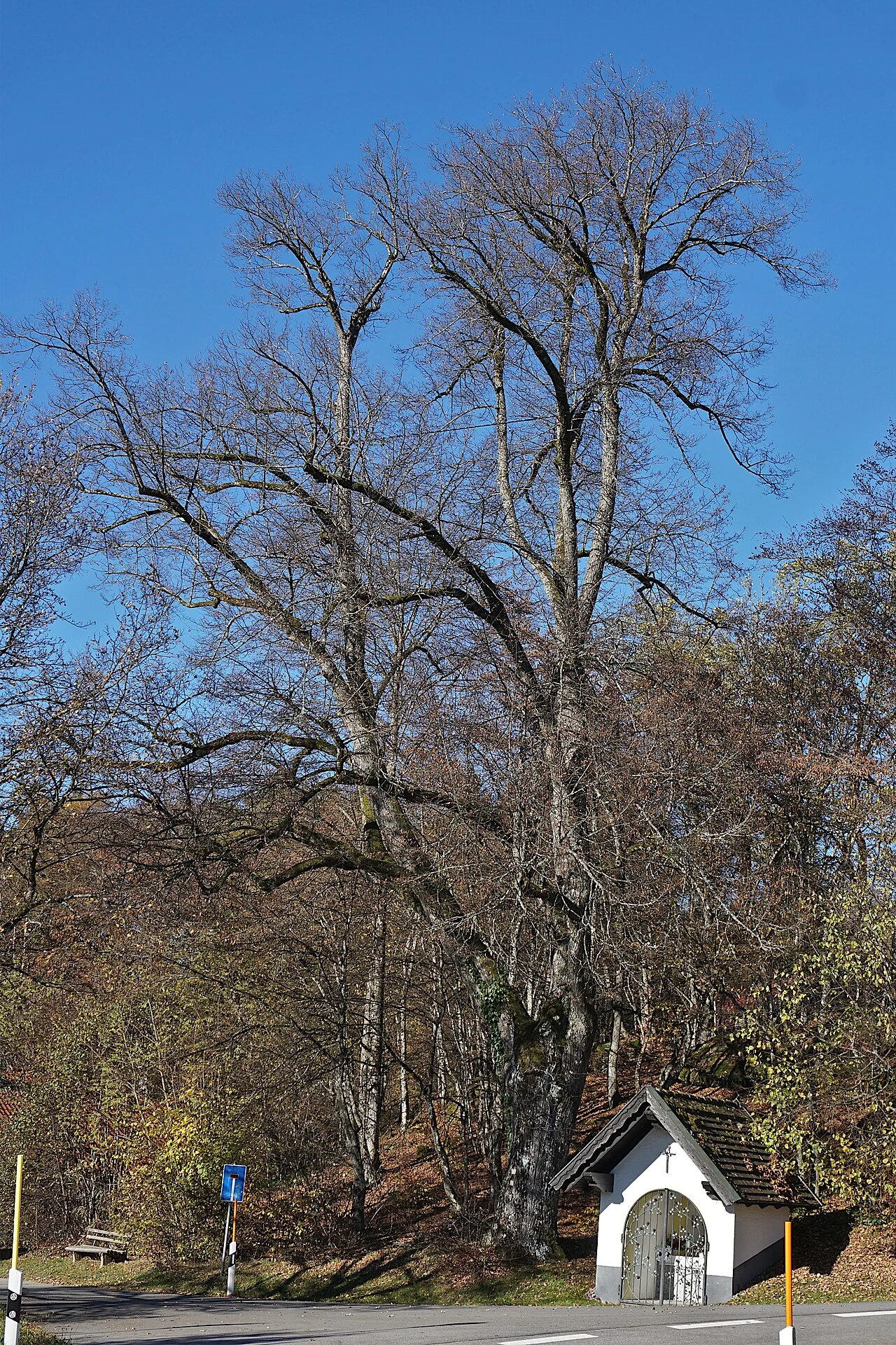 Photo of Thurmansbang