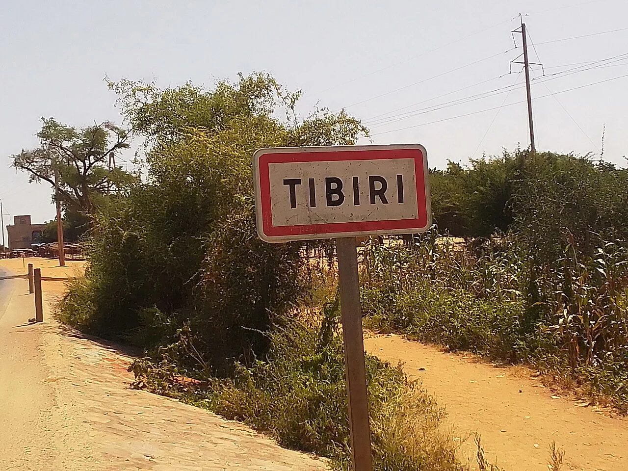 Photo of Tibiri