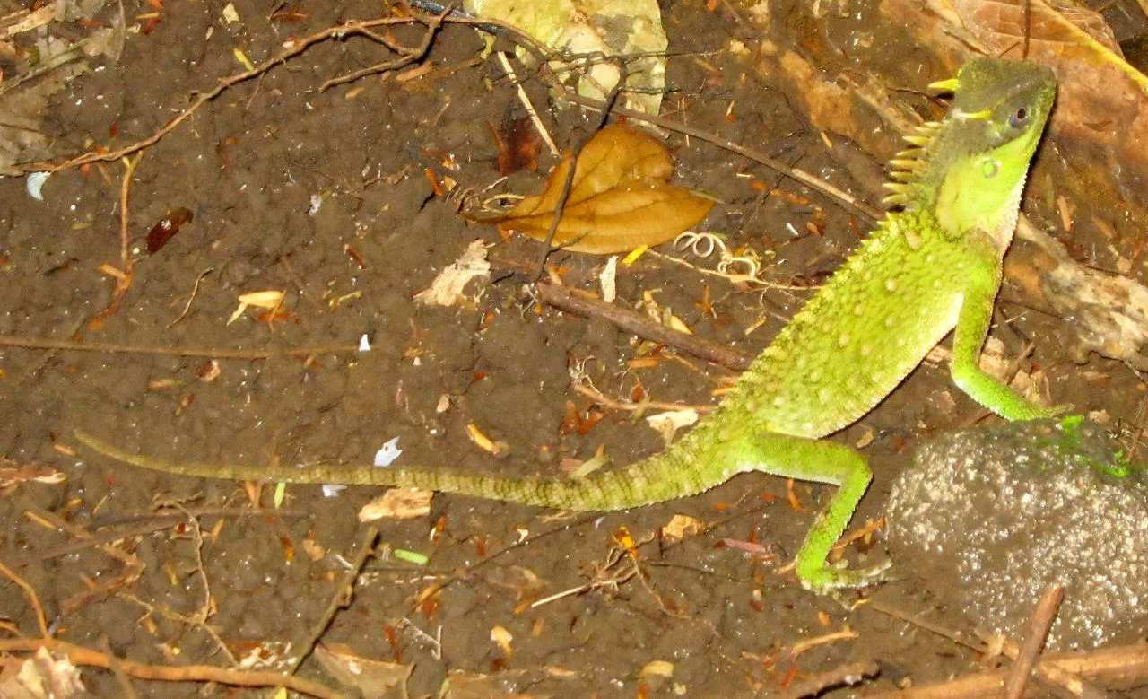 Photo of Tiên Phước
